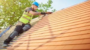 Roof Moss and Algae Removal in Fairlawn, OH